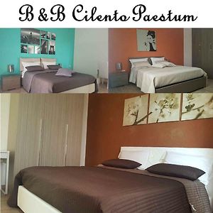 B&b Cilento Paestum